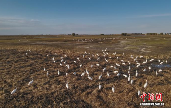 1016ڼĪĪҼȻo^(q)(ni)QϢ(o˙CƬ)w z