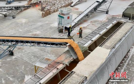 118ɢZԭZ쌣þb܇I(y) z