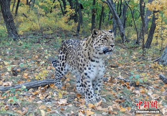 2025ږ|ҹ@ĔzĖ|(ҕýD)