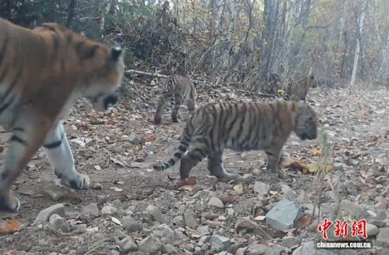 2025ږ|ҹ@ĔzĖ|(ҕýD)