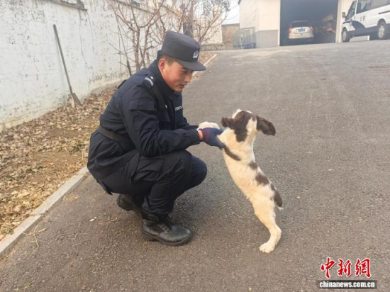 Ҳc[B(yng)Hܶȡʯ z