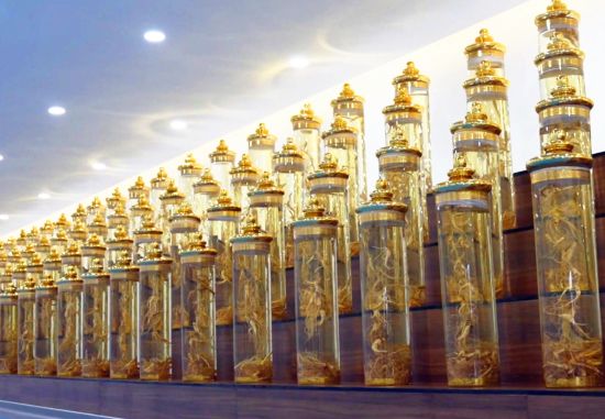 安圖縣委宣傳部/供圖 安圖縣委宣傳部/供圖